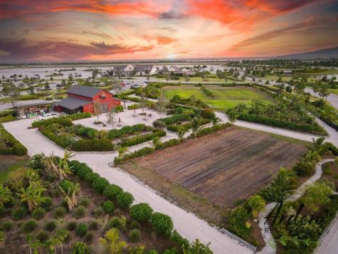 1279 Tangled Orchard Trace Loxahatchee FL 33470