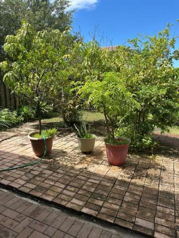 8824 SW 153rd Court Miami FL 33196