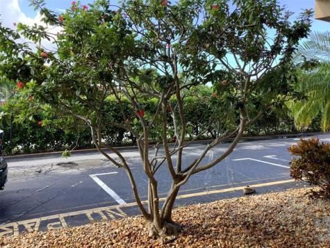 2300 NE 1st Lane Boynton Beach FL 33435