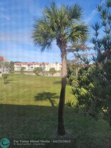 2951 E Sunrise Lakes Drive Sunrise FL 33322
