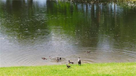 Coconut Creek FL 33063