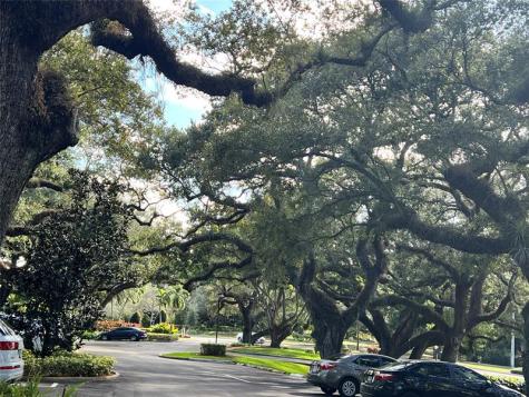 9101 SW 19th Place Davie FL 33324