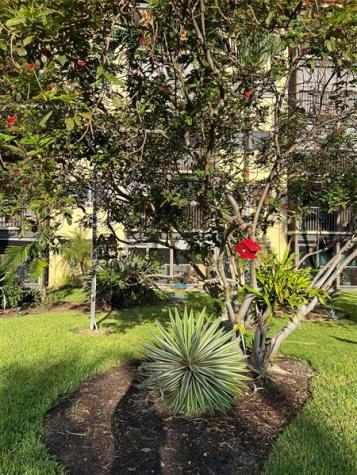 2601 NE 14th Street Causeway Pompano Beach FL 33062
