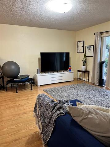 708 SE 2nd Avenue Deerfield Beach FL 33441