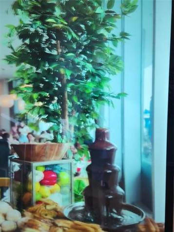 4111 S Ocean Drive Hollywood FL 33019