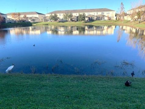 3201 Tocoa Circle Kissimmee FL 34746