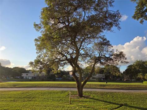 1811 Sabal Palm Drive Davie FL 33324