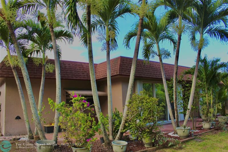 1906 Palmland Drive Boynton Beach FL 33436