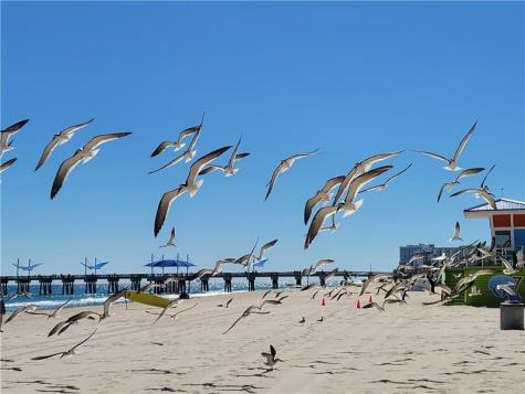 1009 N Ocean Boulevard Pompano Beach FL 33062