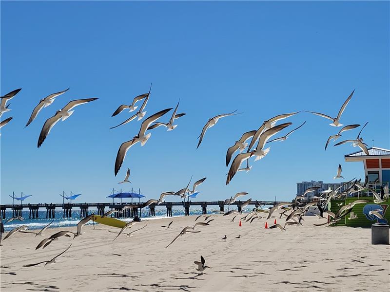 1009 N Ocean Boulevard Pompano Beach FL 33062