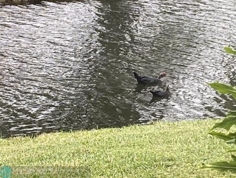 1668 Cypress Pointe Drive Coral Springs FL 33071