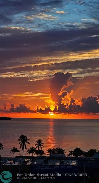 200 Birch Fort Lauderdale FL 33316