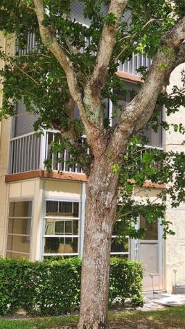 700 SE 6th Avenue Deerfield Beach FL 33441