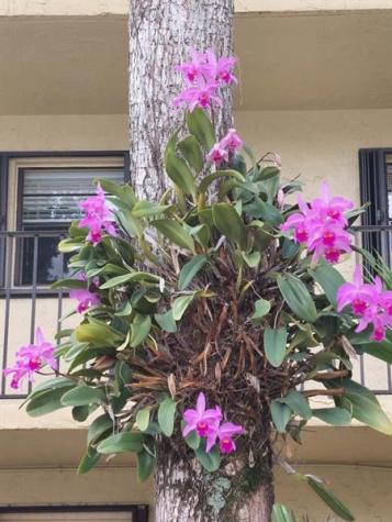 367 S Federal Highway Deerfield Beach FL 33441