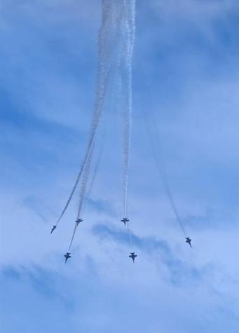 3100 NE 49th Street Fort Lauderdale FL 33308