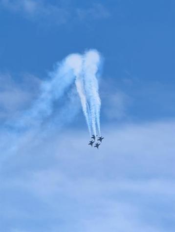 3100 NE 49th Street Fort Lauderdale FL 33308