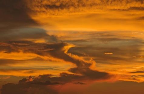 3100 NE 49th Street Fort Lauderdale FL 33308