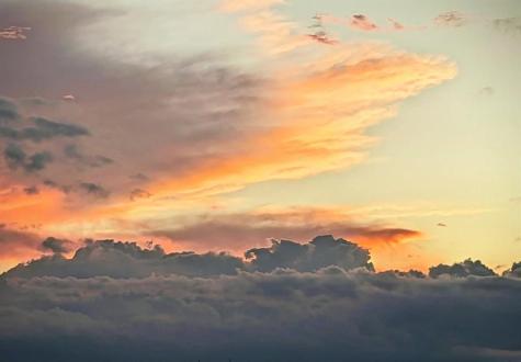 3100 NE 49th Street Fort Lauderdale FL 33308