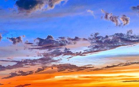 3100 NE 49th Street Fort Lauderdale FL 33308