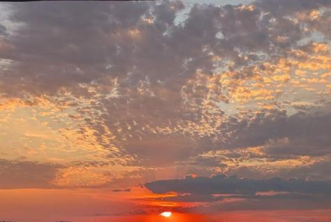 3100 NE 49th Street Fort Lauderdale FL 33308