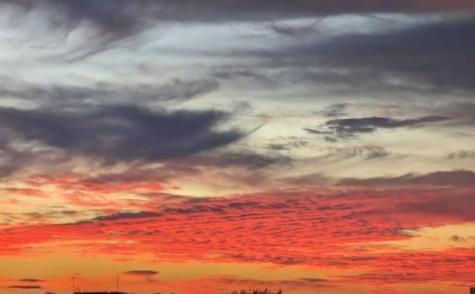 3100 NE 49th Street Fort Lauderdale FL 33308