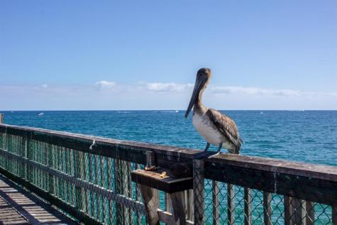 1370 S Ocean Boulevard Pompano Beach FL 33062