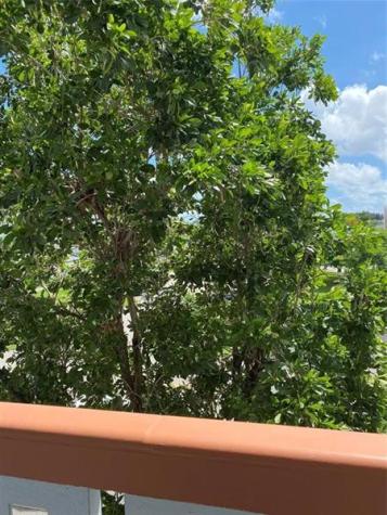 3012 Westbury F Deerfield Beach FL 33442