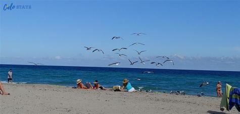 777 N Ocean Drive Hollywood FL 33019