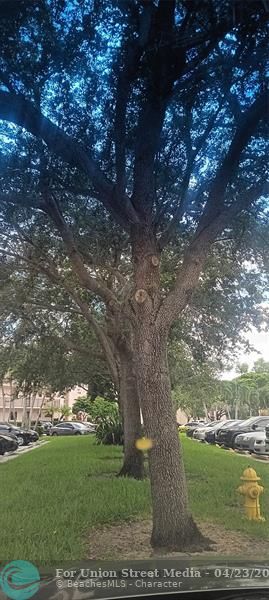 10145 Sunrise Lakes Boulevard Sunrise FL 33322