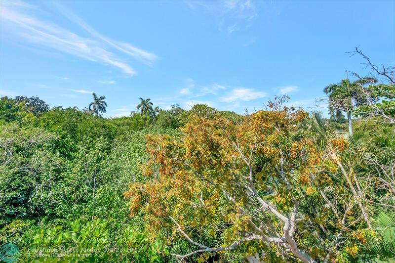 501 SW 11th Place Boca Raton FL 33432