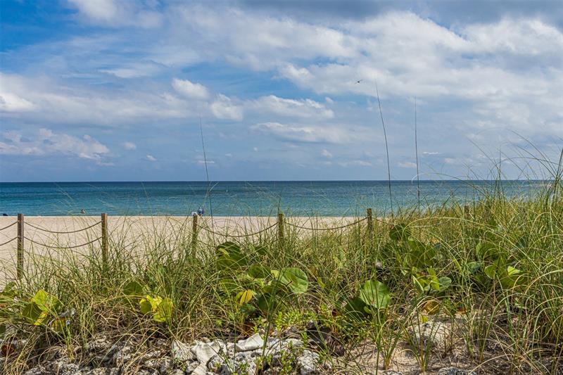 401 Briny Avenue Pompano Beach FL 33062