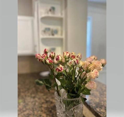 275 Murcia Drive Jupiter FL 33458