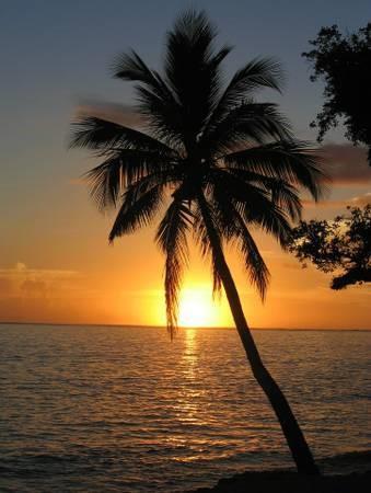 1900 S Ocean Drive Fort Lauderdale FL 33316