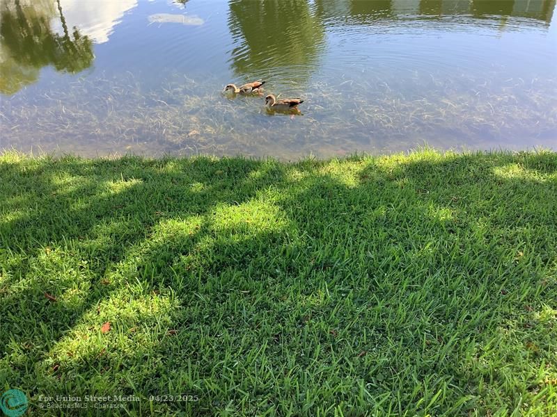 3581 NW 95th Terrace Sunrise FL 33351