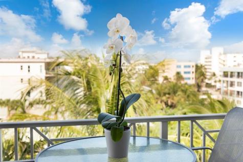 701 SE 21st Avenue Deerfield Beach FL 33441