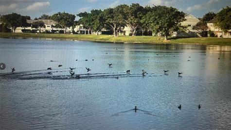 3421 NW 44th Street Lauderdale Lakes FL 33309