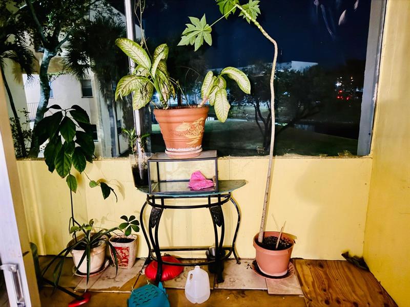 8460 Sunrise Lakes Boulevard Sunrise FL 33322