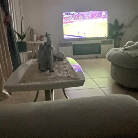 6728 SW 40th Street Fort Lauderdale FL 33314