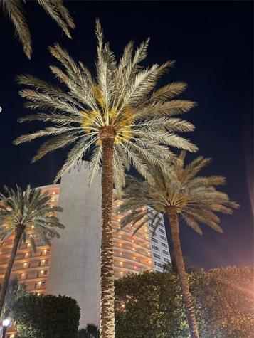 4100 Galt Ocean Drive Fort Lauderdale FL 33308