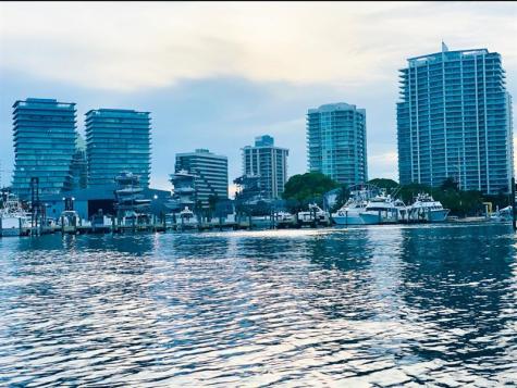 3037 Elizabeth Street Miami FL 33133