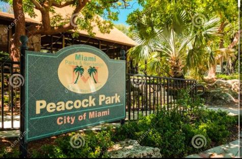 3037 Elizabeth Street Miami FL 33133