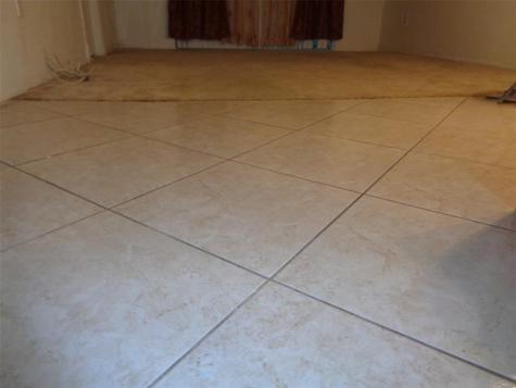 2831 E Sunrise Lakes Drive Sunrise FL 33322