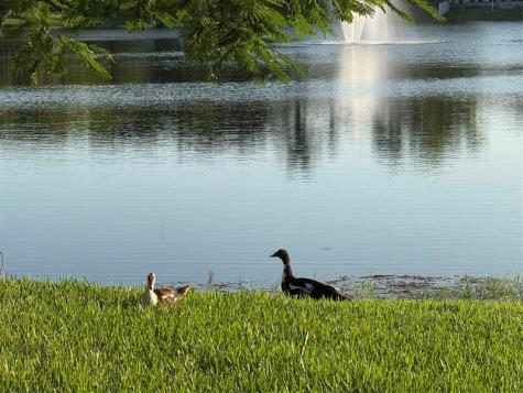9237 NW 9th Place Plantation FL 33324