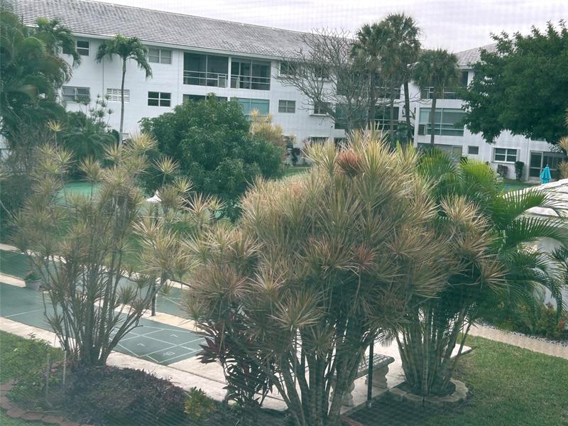 2050 NE 39th Street Lighthouse Point FL 33064