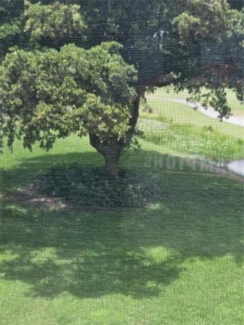 9491 Evergreen Place Davie FL 33324