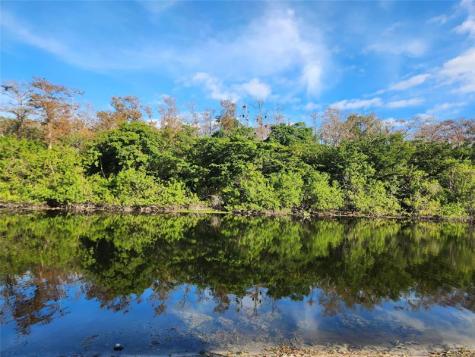 2664 Carambola Cirn Coconut Creek FL 33066