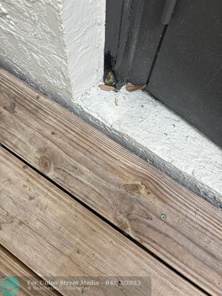 9746 NW 35th Street Coral Springs FL 33065