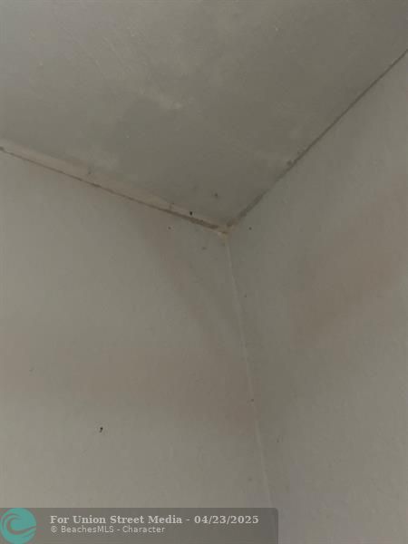 9746 NW 35th Street Coral Springs FL 33065