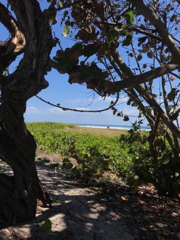 30 Andrews Avenue Delray Beach FL 33483