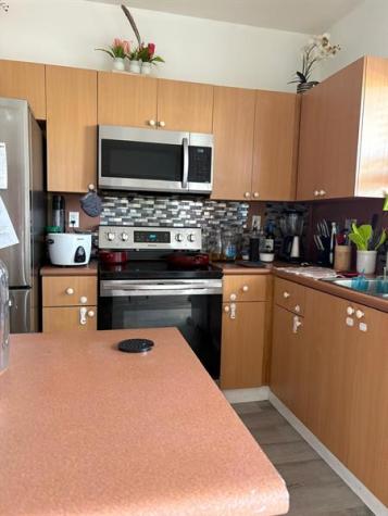 1571 SE 31st Court Homestead FL 33035